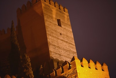 Los 5 mejores expertos en software de negocios en Almería