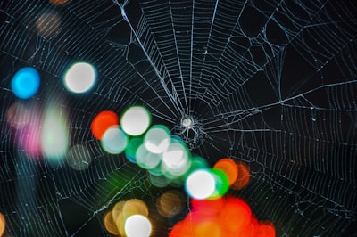 El papel de la aplicación web en una economía circular