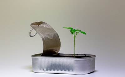 Controlar plantas mediante voz con Python, Goose y Gemini CLI