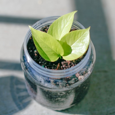 Expertos en automatización de nutrición de leads en Málaga
