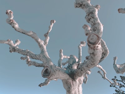 Optimiza modelos de lenguaje visual en diagnóstico 3D sin entrenamiento