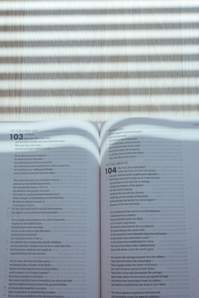 Comparativa de modelos de IA Claude 2025: Opus vs Sonnet vs Haiku