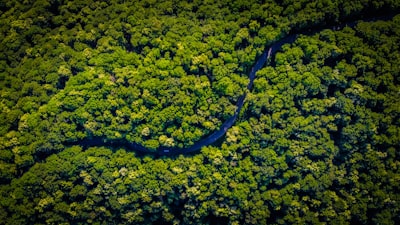 El coste oculto de la inteligencia artificial para la naturaleza
