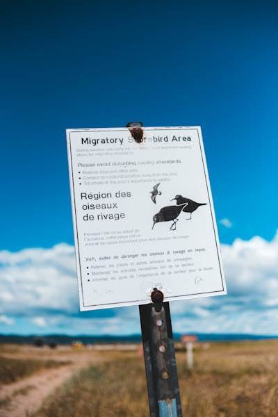 Administre con facilidad las migraciones de Laravel desde una interfaz web moderna
Administer Migrations of Laravel Easily with a Modern Web Interface