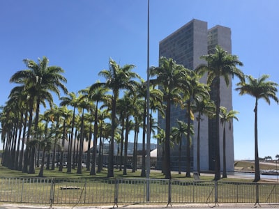 Simulación computacional de aprendizaje pavloviano con PALMS