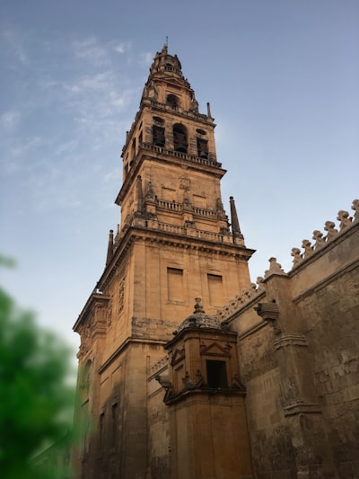 Servicios especializados de procesamiento de documentos e imágenes en Córdoba