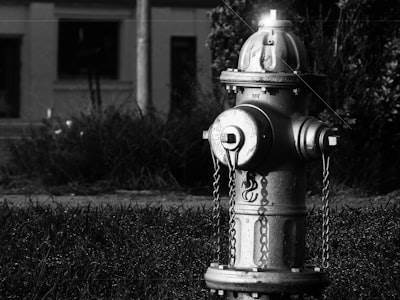 Mejores empresas de bots de telegram en Montijo