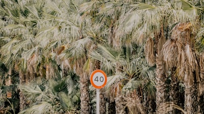 Los mejores expertos en automatización de hojas de tiempo en Elche