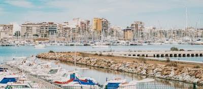 Los 10 mejores especialistas en bots de Instagram en Torrevieja