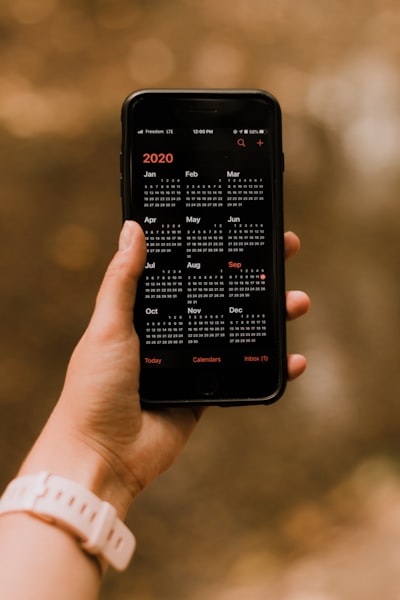 Skylight Calendar 2 y Max: ofertas Prime Day para tu hogar