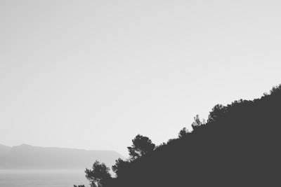 Mejores empresas de software web personalizado en Alicante