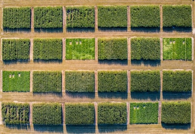 Agricultura de carbono para una tierra sostenible