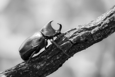 Los investigadores de ejemplos adversarios deben ampliar su concepto de 'robustez'.