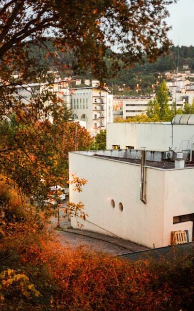 Mejores empresas de aplicaciones personalizadas en Ourense