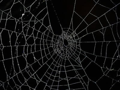 ¿Impacto de fallas en sistemas de aplicaciones web escalables?