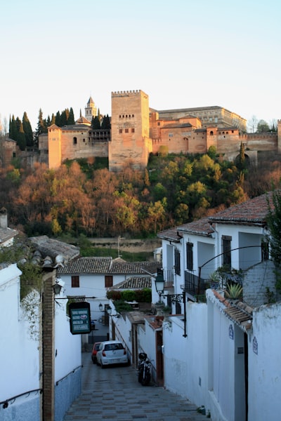 Top 20 expertos en automatización con IA en Granada