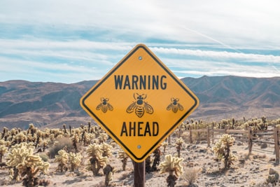 Señales de alerta ante transacciones falsas de USDT