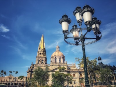 Expertos en bots de Instagram en Guadalajara
