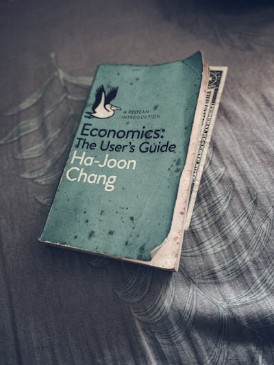 Cómo los economistas abordan la incertidumbre de la IA