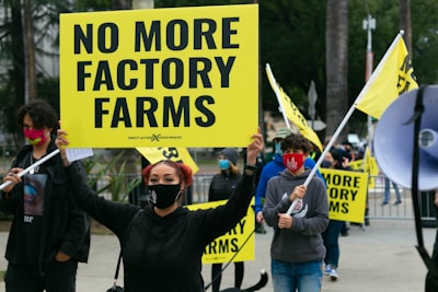 Las fábricas también son parte del problema