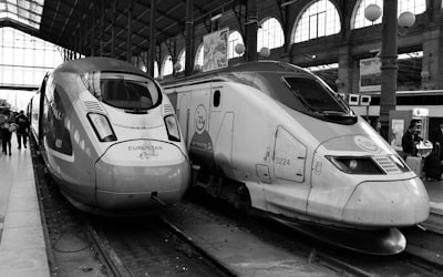 Inferencia Bayesiana Amortizada en Grafos: De Ratones a Trenes