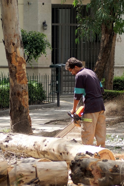 Cuándo funciona la poda según jerarquías de representación