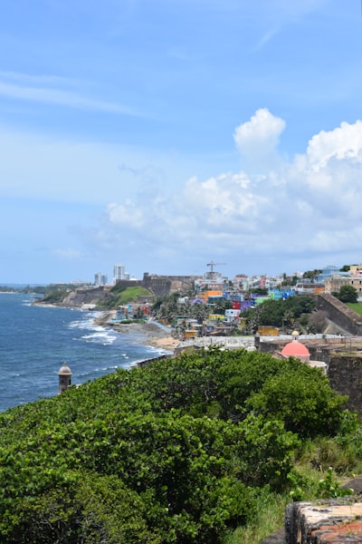 La mejor guía para contratar servicios de IA en Puerto de la Cruz