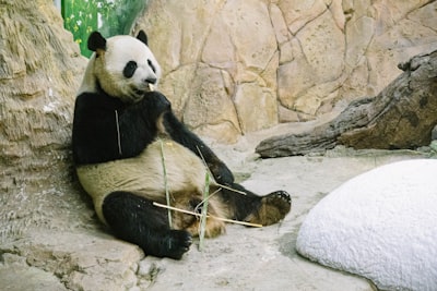 Optimiza tu escritura con Pandas y pipelines de encadenamiento de métodos