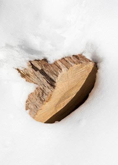 Detener la excavación de registros con Bedrock y vectores S3