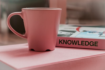 Los 20 mejores expertos en automatización de base de conocimientos en Vitoria