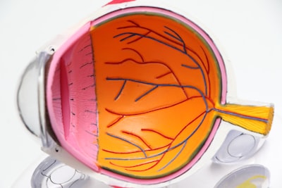 Retina-RAG: Modelo visión-lenguaje con recuperación para diagnóstico retinal e informes clínicos