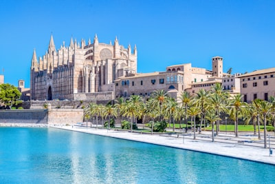 Los 5 mejores expertos en aplicaciones ChatGPT en Palma