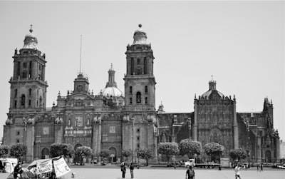 Los 15 mejores especialistas en n8n en Guadalajara