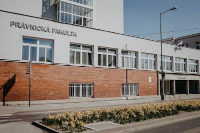 Servicios profesionales de automatización con n8n en Paterna