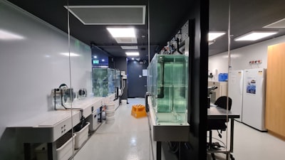 Invertir en Merge Labs