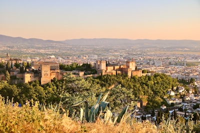 Eliminar datos duplicados en Granada 2026