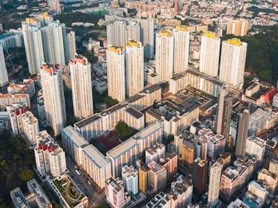 Por qué tus 'Palabras clave locales' están arruinando tu negocio (y cómo Mangools lo soluciona)