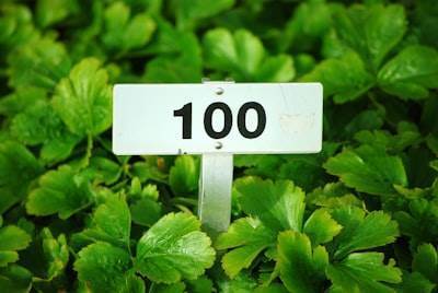 Mejores 100 Expertos en IA AGENCY en Erandio