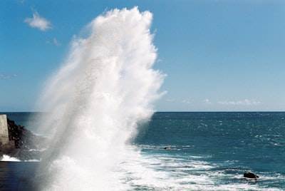 Cómo sobrevivir al tsunami de productos de inteligencia artificial