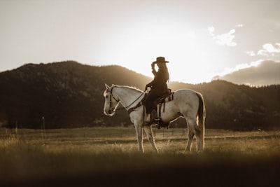 Westerns con mujeres fuertes al mando