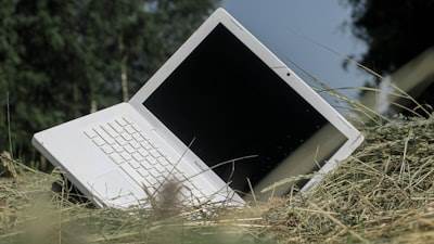 Cinco se declaran culpables en caso de robo de identidad para trabajos de TI en EE. UU.