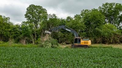 Construcción de cimientos sólidos para proyectos Greenfield