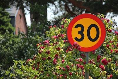 Los principales expertos en bots de redes sociales en Marbella