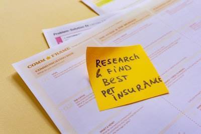Custom Research Group: An Interactive and Continuous Automation Framework for Personalized Science