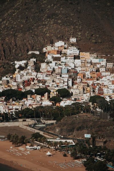 Bots de Telegram en Santa Cruz de Tenerife
