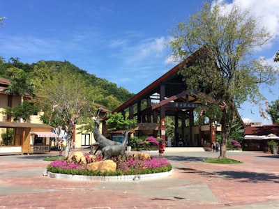 Desarrollo de software en San Vicente del Raspeig