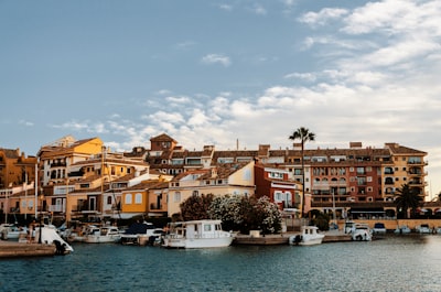 Top 5 empresas de IA en previsión de demanda en Valencia