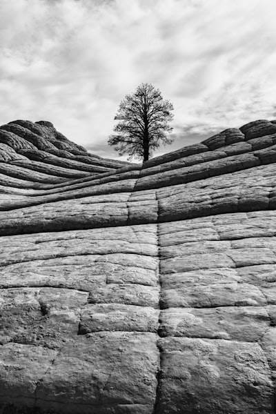 LLM en AWS con Bedrock: Comprendiendo el no determinismo
