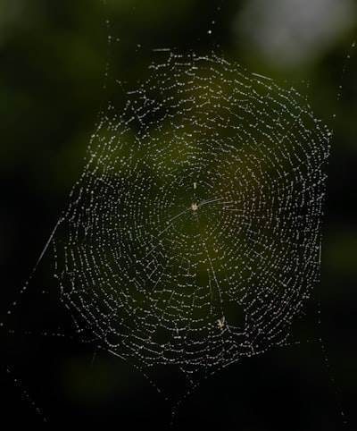La revolución de la identidad en Web3