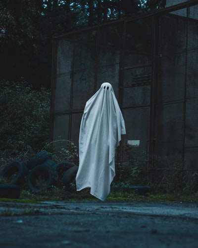 Viajes en el tiempo y terror psicológico en Japanese Gothic